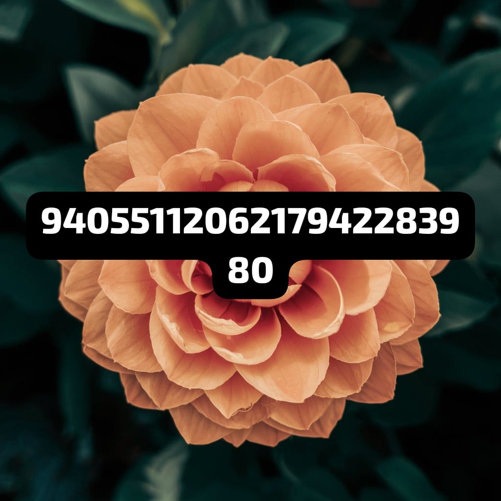 9405511206217942283980