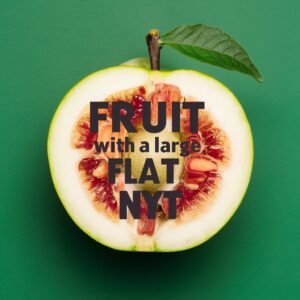 fruit with a large flat pit nyt