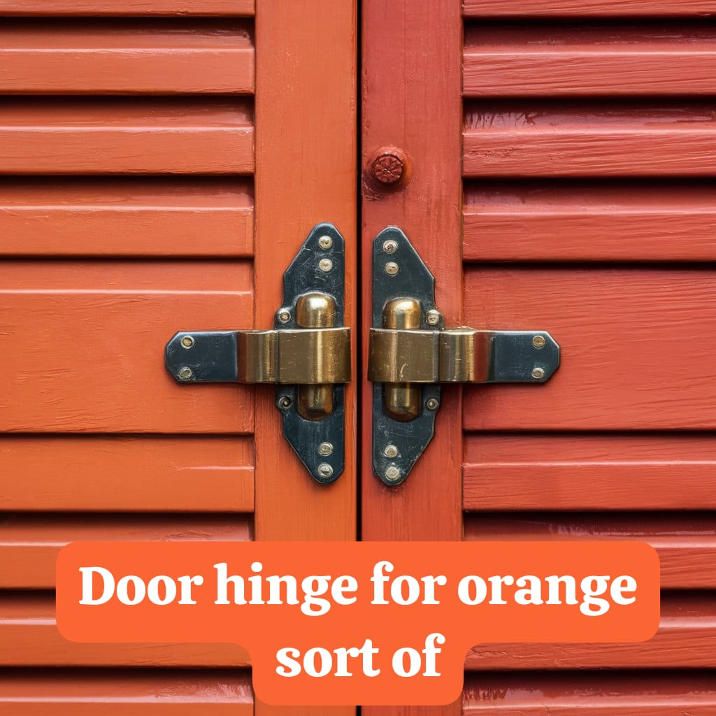 Door Hinge for Orange Sort Of